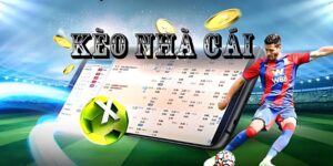 Kèo Nhà Cái Tại Bet88: Trải Nghiệm Giải Trí Bất Tận